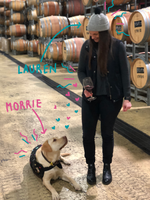 Introducing a New Member to our Winemaking Team